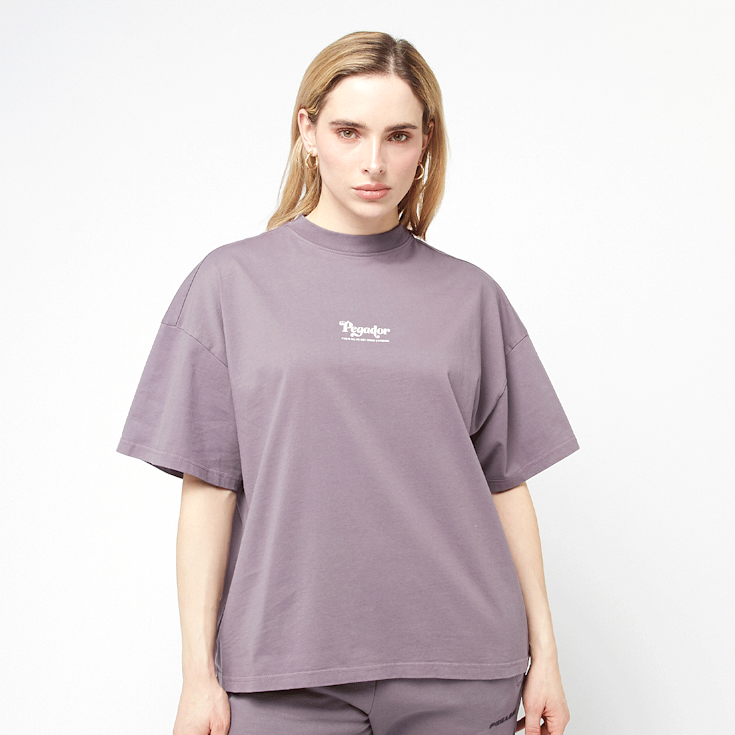 تیشرت زنانه رنگ Washed Dusty Grape برند پگادور PEGADOR کپی