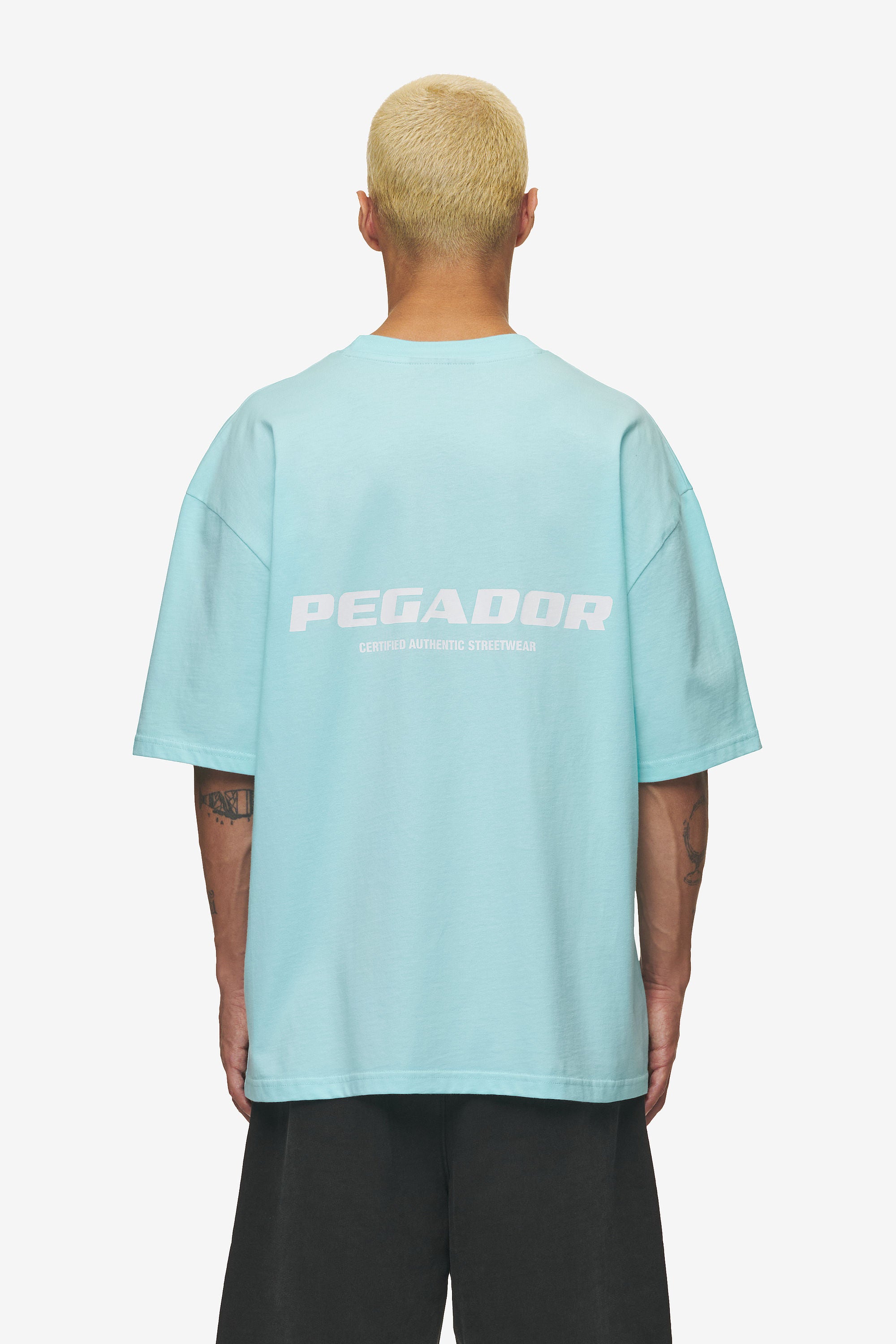 تیشرت بیسیک پشت لوگو رنگ Washed Sky Blue برند پگادور PEGADOR
