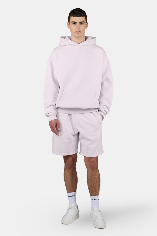 هودی بیسیک اورسایز رنگ Washed Light Lilac برند پگادور PEGADOR