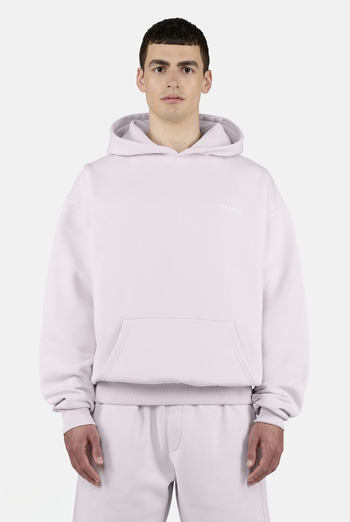 هودی بیسیک اورسایز رنگ Washed Light Lilac برند پگادور PEGADOR