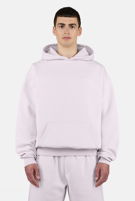 هودی بیسیک اورسایز رنگ Washed Light Lilac برند پگادور PEGADOR