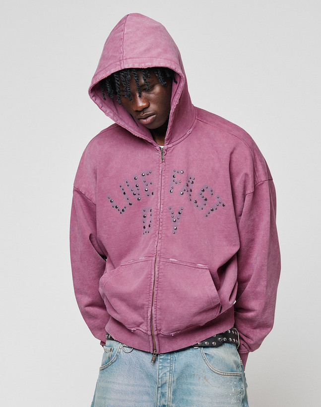 سویشرت باکسی نیوکالکشن رنگ Purple برند لیوفست LFDY